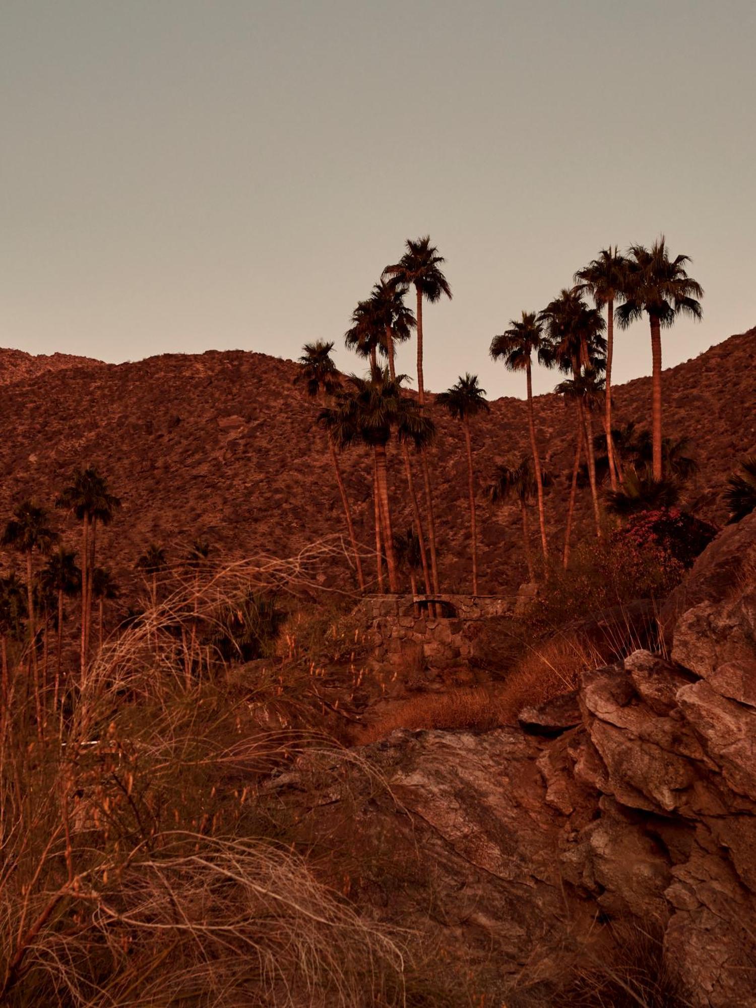The Willows Palm Springs Extérieur photo