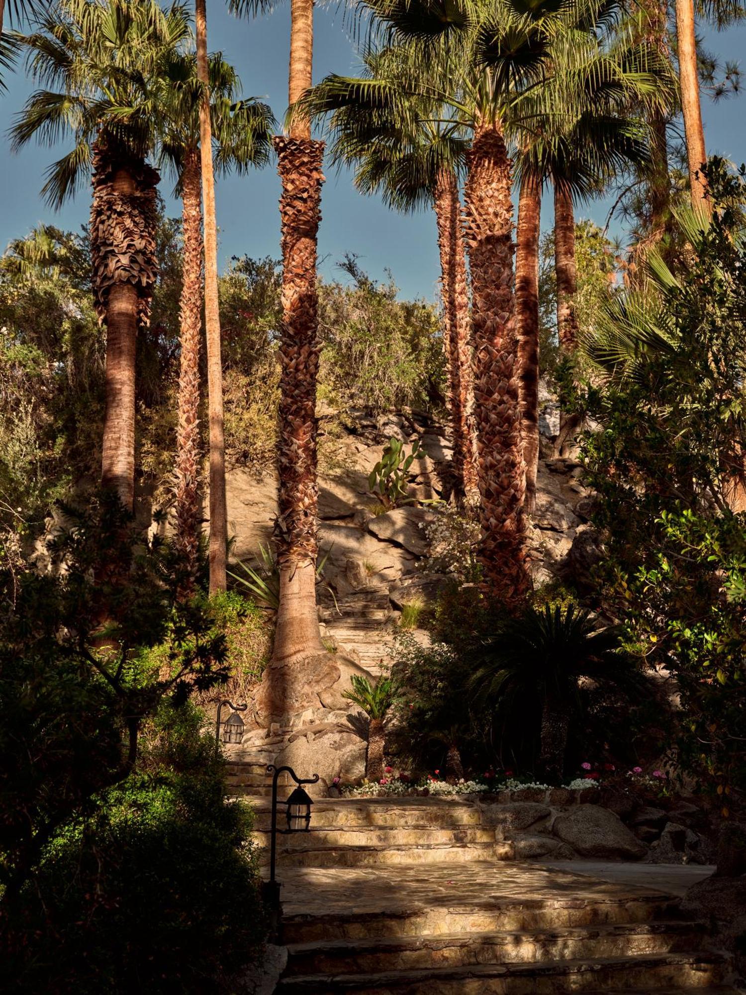 The Willows Palm Springs Extérieur photo