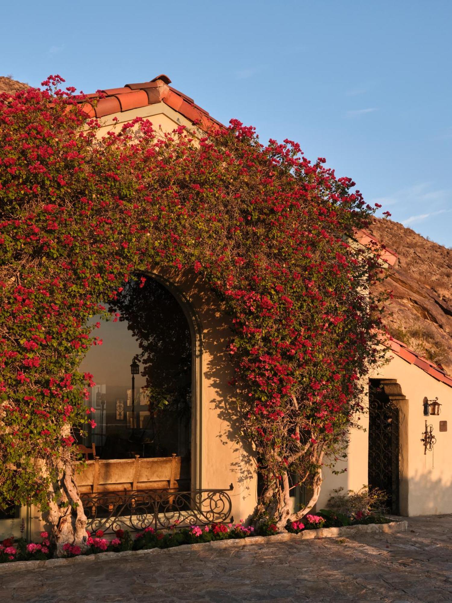 The Willows Palm Springs Extérieur photo
