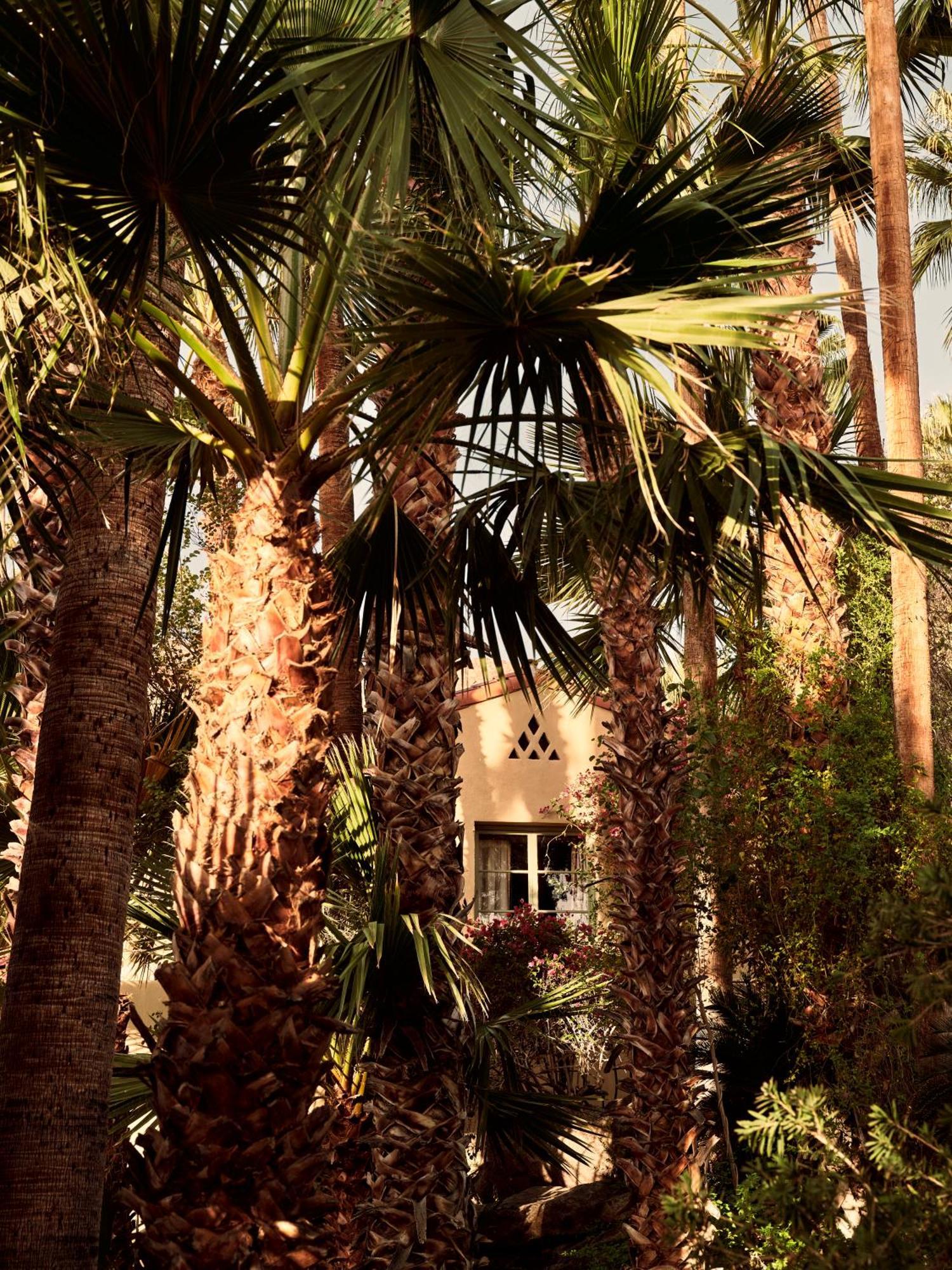 The Willows Palm Springs Extérieur photo