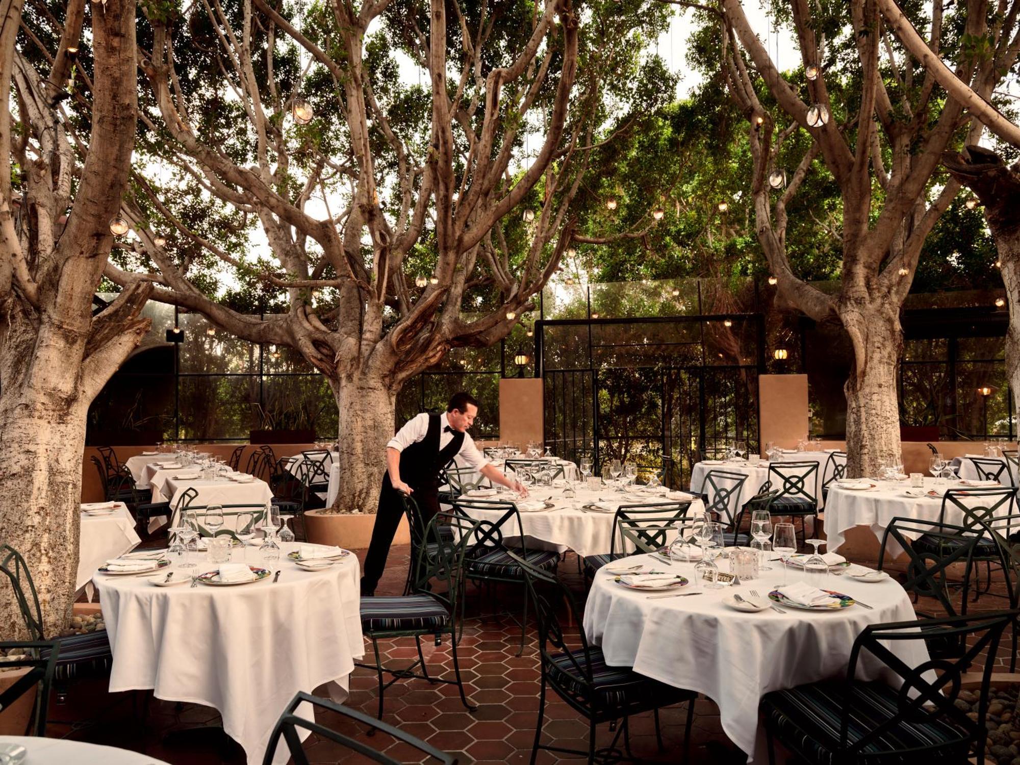 The Willows Palm Springs Extérieur photo
